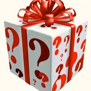 Sellers MYSTERY Box‼️